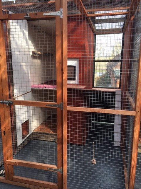 Cattery Facilities, Bracknell, Woking, Ascot, Windsor